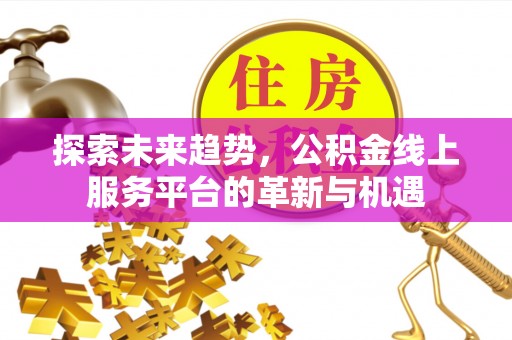 金溪探索未来趋势，公积金线上服务平台的革新与机遇