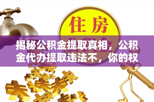 金溪揭秘公积金提取真相，公积金代办提取违法不，你的权益如何保障？