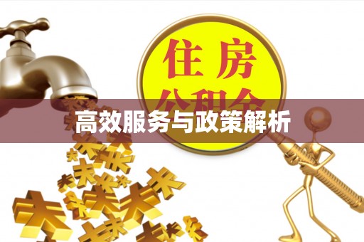 金溪高效服务与政策解析