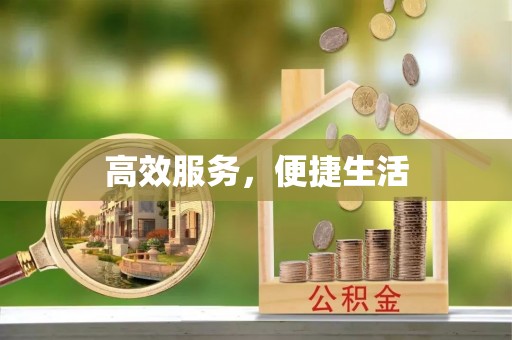 金溪高效服务，便捷生活