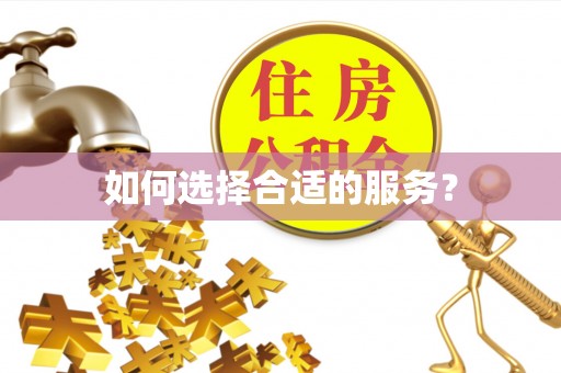 金溪如何选择合适的服务？
