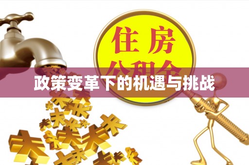 金溪政策变革下的机遇与挑战