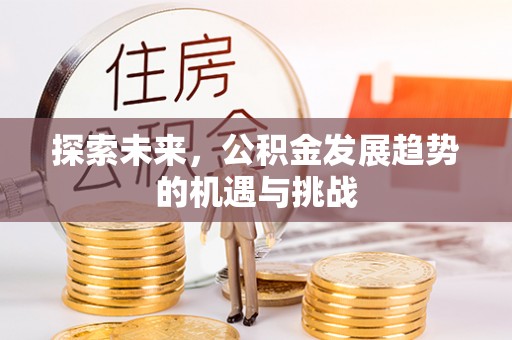 金溪探索未来，公积金发展趋势的机遇与挑战