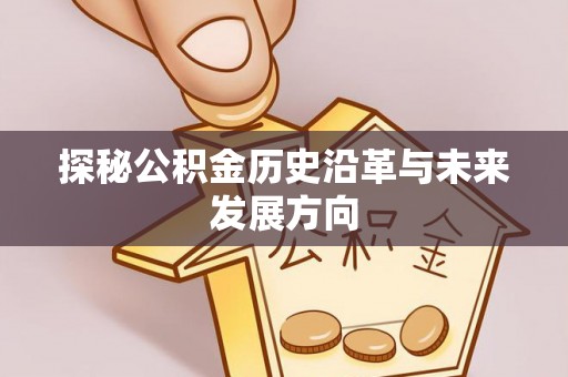 金溪探秘公积金历史沿革与未来发展方向