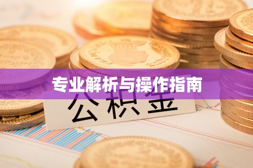 金溪专业解析与操作指南