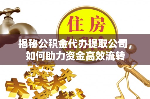 金溪揭秘公积金代办提取公司，如何助力资金高效流转