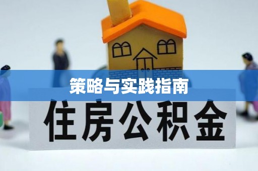 金溪策略与实践指南