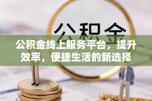 金溪公积金线上服务平台，提升效率，便捷生活的新选择