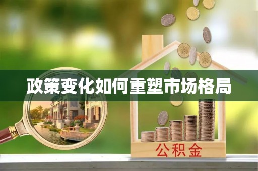 金溪政策变化如何重塑市场格局