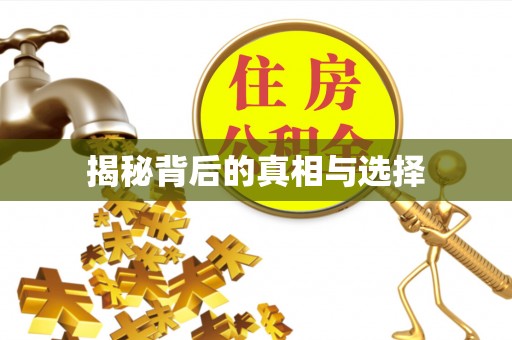 金溪揭秘背后的真相与选择