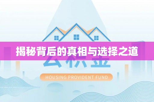 金溪揭秘背后的真相与选择之道