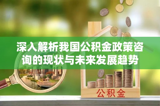 金溪深入解析我国公积金政策咨询的现状与未来发展趋势