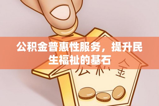 金溪公积金普惠性服务，提升民生福祉的基石