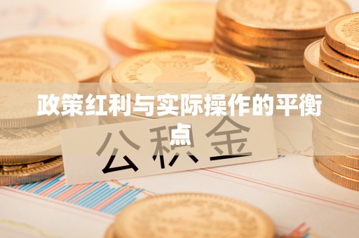 金溪政策红利与实际操作的平衡点