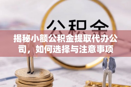 金溪揭秘小额公积金提取代办公司，如何选择与注意事项