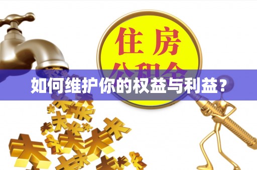 金溪如何维护你的权益与利益？