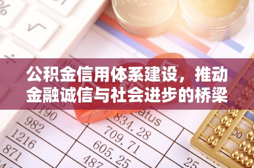 金溪公积金信用体系建设，推动金融诚信与社会进步的桥梁