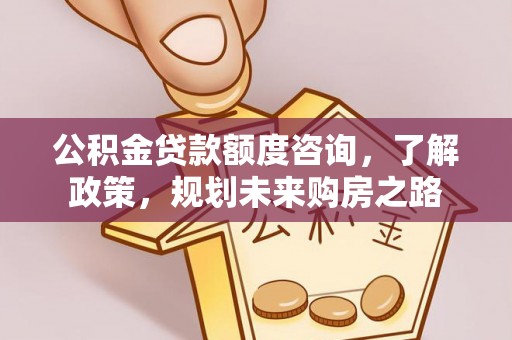 金溪公积金贷款额度咨询，了解政策，规划未来购房之路