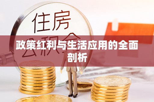 金溪政策红利与生活应用的全面剖析