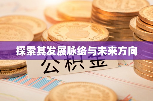 金溪探索其发展脉络与未来方向