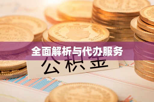 金溪全面解析与代办服务