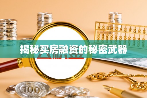 金溪揭秘买房融资的秘密武器