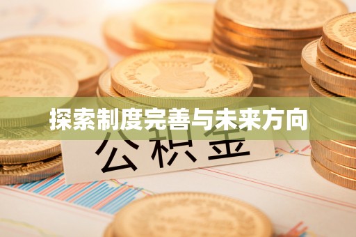 金溪探索制度完善与未来方向