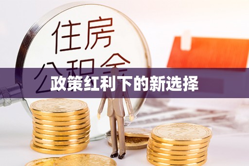 金溪政策红利下的新选择