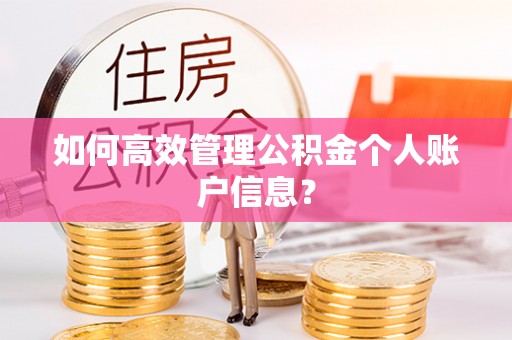 金溪如何高效管理公积金个人账户信息？