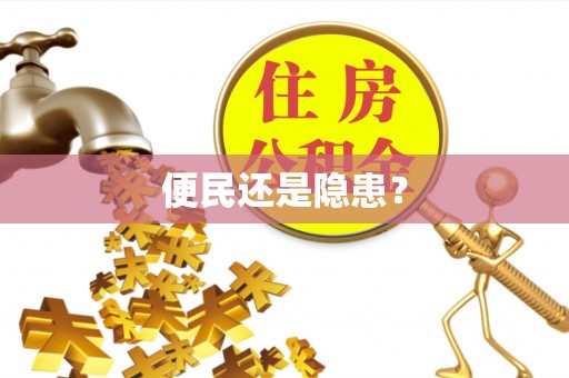金溪便民还是隐患？