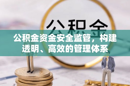 金溪公积金资金安全监管，构建透明、高效的管理体系