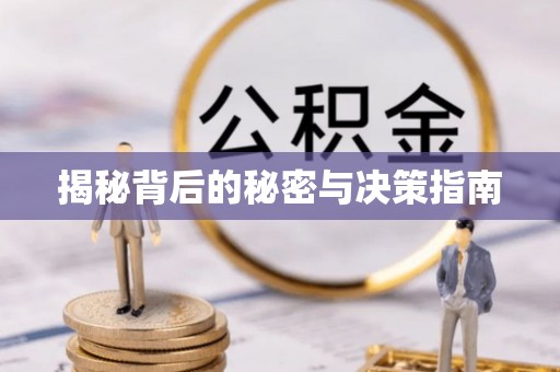 金溪揭秘背后的秘密与决策指南