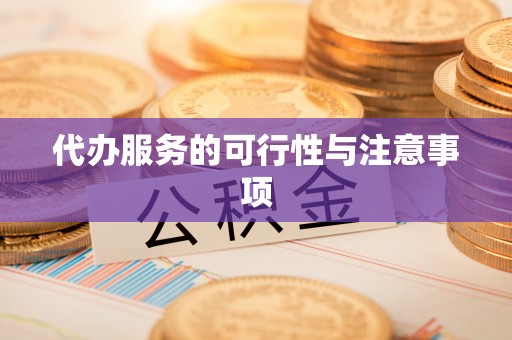 金溪代办服务的可行性与注意事项