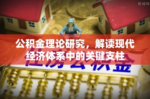 金溪公积金理论研究，解读现代经济体系中的关键支柱