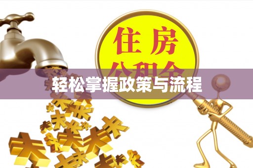 金溪轻松掌握政策与流程
