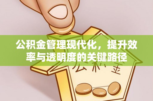 金溪公积金管理现代化，提升效率与透明度的关键路径