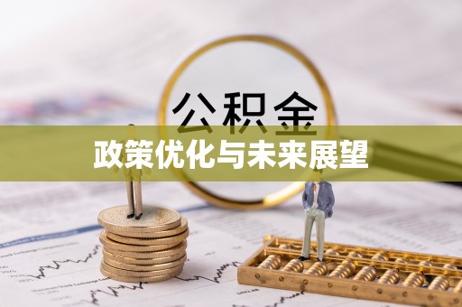 金溪政策优化与未来展望