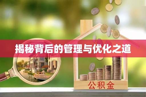 金溪揭秘背后的管理与优化之道