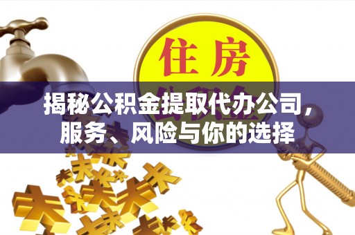 金溪揭秘公积金提取代办公司，服务、风险与你的选择