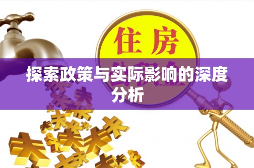 金溪探索政策与实际影响的深度分析