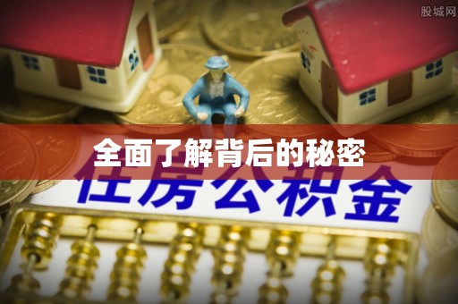 金溪全面了解背后的秘密
