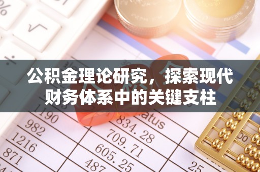 金溪公积金理论研究，探索现代财务体系中的关键支柱