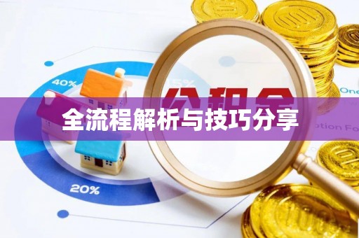 金溪全流程解析与技巧分享
