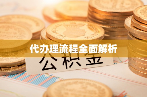 金溪代办理流程全面解析