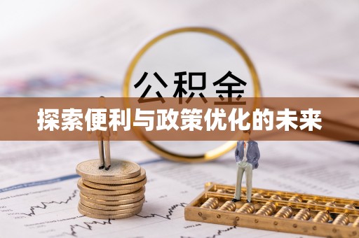 金溪探索便利与政策优化的未来
