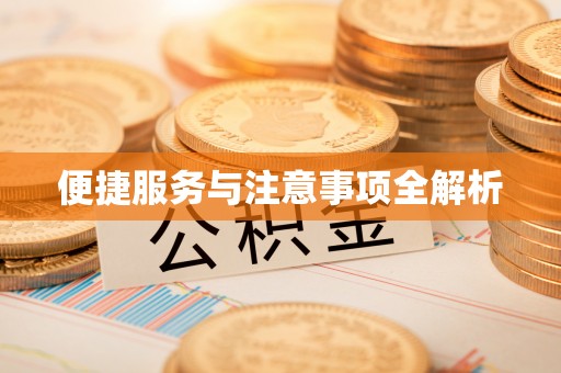金溪便捷服务与注意事项全解析