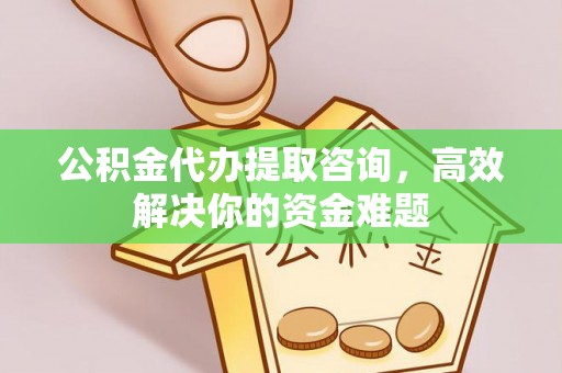 金溪公积金代办提取咨询，高效解决你的资金难题