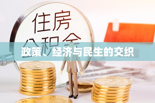 金溪政策、经济与民生的交织