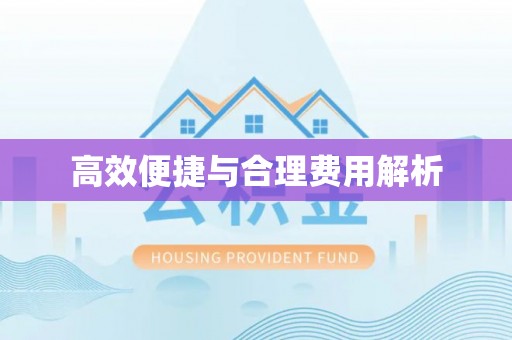 金溪高效便捷与合理费用解析