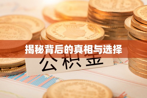 金溪揭秘背后的真相与选择